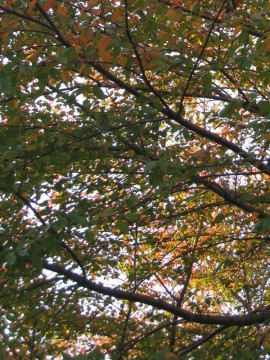 @傫đςʐ^܂莝ĂȂ˂cr˂ij