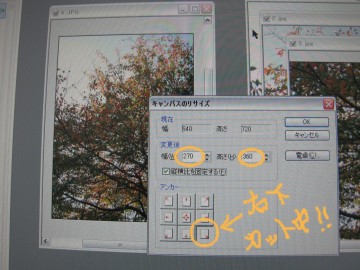 ͐ɒ540ɃC[W̃TCYŃTCYɂSĂ܂I