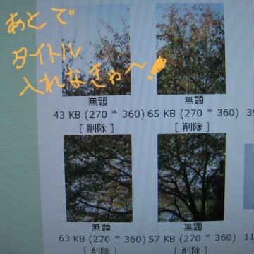 ɂSĂ׍Hcʓ|im񂪂ȁi΁jj