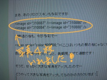 čĂ̂ł܂ɂׂׂɂȂĂ肵܂i΁j