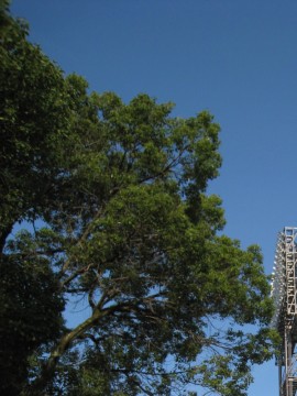 eʂ͉摜̕GỈ摜͂RSKBɑ΂ā