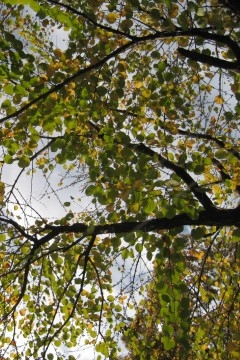 ̉^͑̂Aw񂪂悤ĂȂI