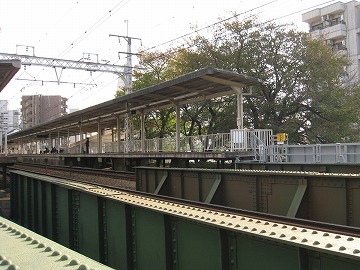 kpBcf̐Eƕςc40jaOȂ̂ɁAI