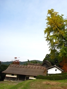 cڂƔɈ͂܂āĉт̂т