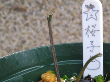 ܁cۖVɁc]ƂȂcHׂꂽIH