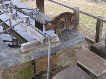 pɈނȂAȂȂǂꏊĂ܂Ȃi΁j