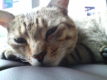 肮ĕłcAM[łȂ΁i΁j