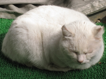 낿[Ƃ̎ɗ悤ɂȂĂ炾Ԍo˂B