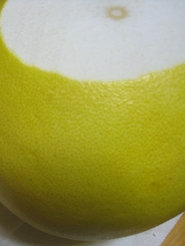 ƁAw̐Ղ܂cނł݂cB