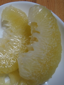 AӔM܂oȂG߂ɂȂĂ܂cB