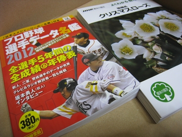 ͂́AȂ񂩗ɒ[Ȕ˂i΁j