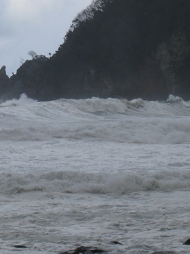 mgQxoĂ܂Bg̉؂͎cOȂc3ł̂˂B