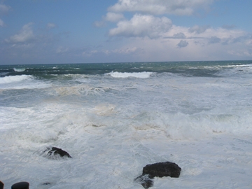 r[̖AȂI߂ācN[\[_IH