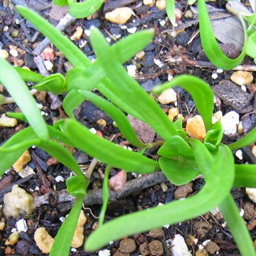 ق񑐁cǂꂮ炢Ŏno邩ȂH܂gƂƂԂɓႤI