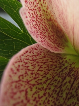 ̗΂ƂĂYȂ񂾂˂I