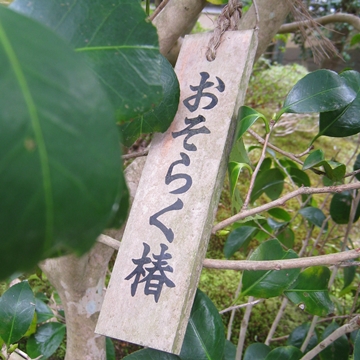 炭