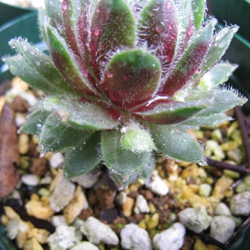 AւKv˂H҂ĂĂˁIfDv܂łɂ́cł邩ȂH