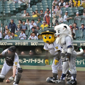 }XRbgČ\˂􃌃I̍ɍꂽ