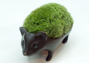 �������P