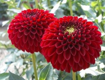 �_���A�@��