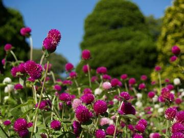 �Z���j�`�R�E