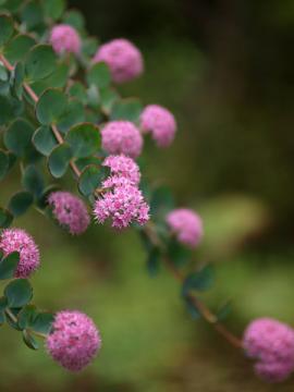 �����T�L�ٌc��