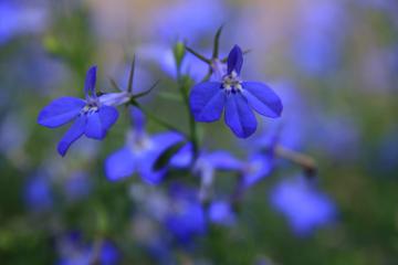 ���x���A