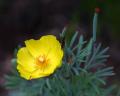 �n���l�}�j�A