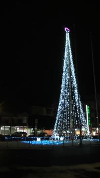 �c���[