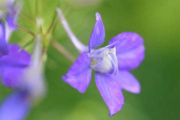 �q�G����