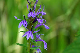 �T���M�L���E