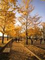 park2