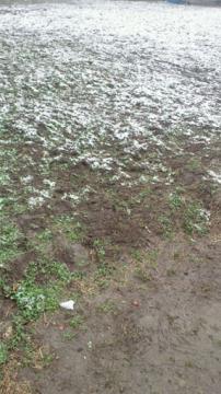 snow