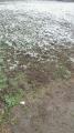 snow
