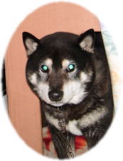 EGNXeAEO\̂ƂȂy̔Ԍ