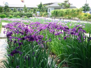 ߂܂inZ΁@@y@炭Ă