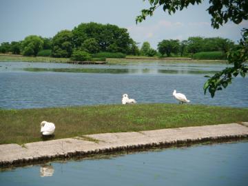 ߂܂inZ΁@@y@炭Ă