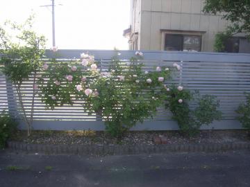΂癒U