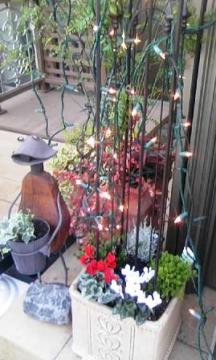 �C���~�l�[�V�����Q