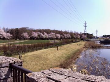 Ԃ̋u201204120-13