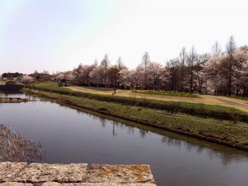 Ԃ̋u201204120-14