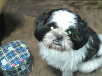 �G�N�X�e���A�@�O�\�H���g�b�v