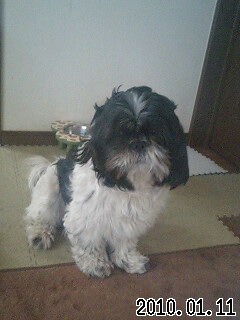 �O�\�H���X�^�b�t�@�Ŕ�