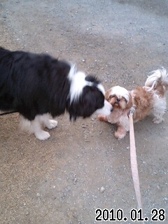 �O�\�H���̊Ŕ�