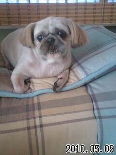 �S�����g���~���O