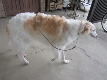 ڂ邼