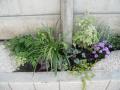 bifo-