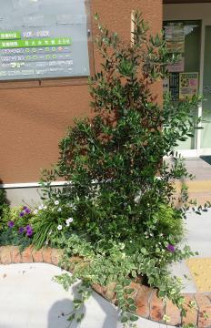 afuta-