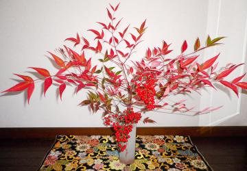 �i���e��