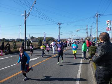 �t�@������